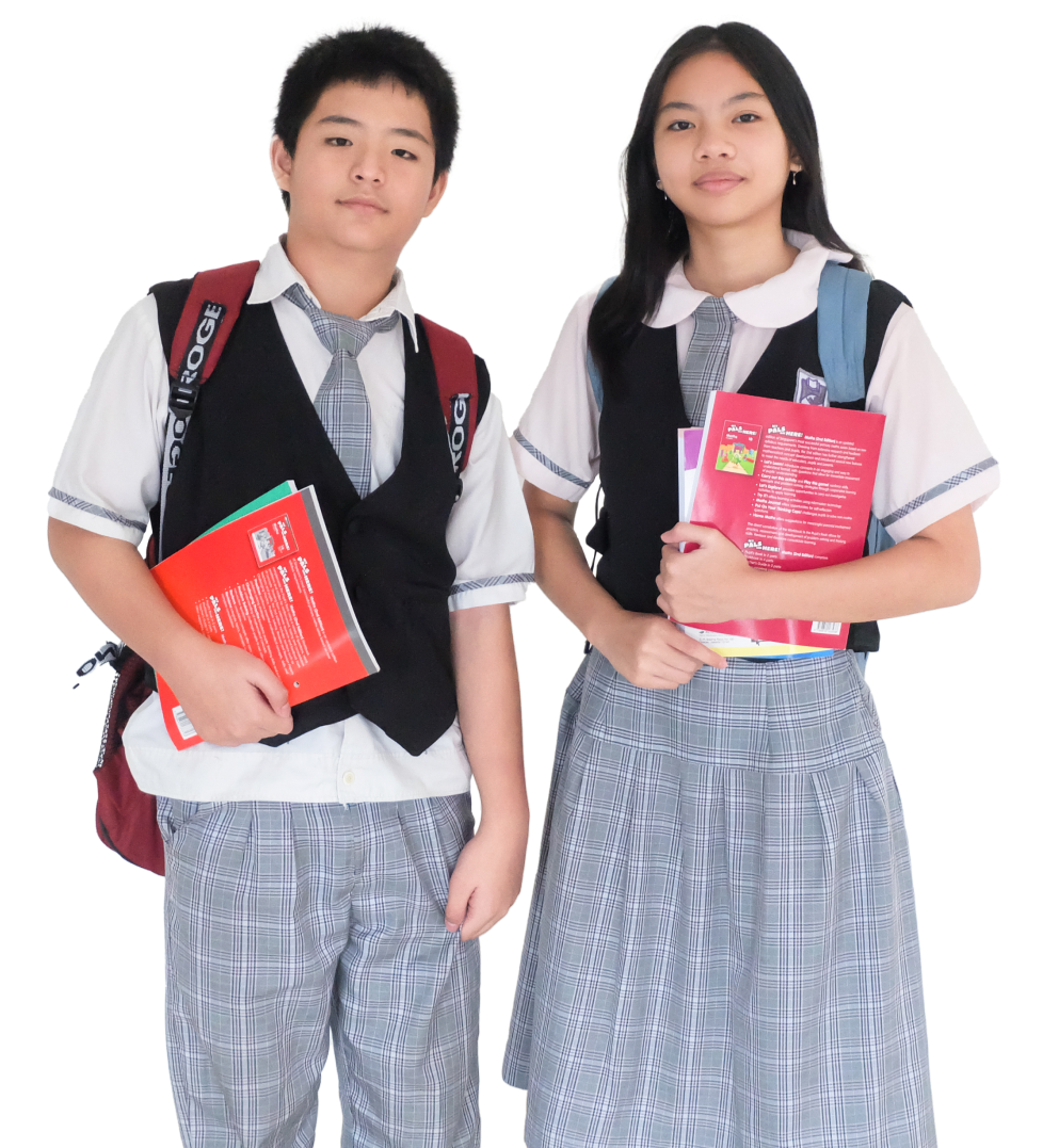 Programs Figure Hero